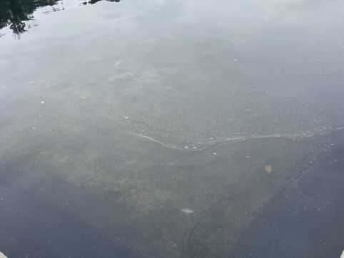 Green tint continues to plague D.C. Reflecting Pool after six suspects arrested