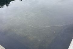 Green tint continues to plague D.C. Reflecting Pool after six suspects arrested