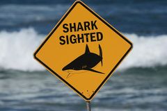 Trump signs law federalizing shark attack alerts