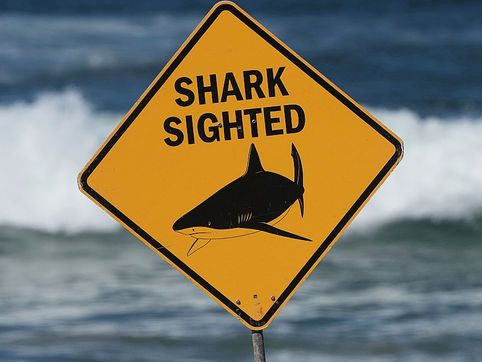 Trump signs law federalizing shark attack alerts
