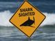 Trump signs law federalizing shark attack alerts