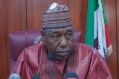 Gunmen abduct dozens of students during school exams in northeast Nigeria