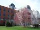 PCUSA sees membership drop by nearly 27,000, loss of 128 churches: report
