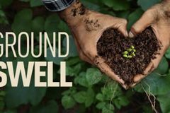'Groundswell' regenerative rancher urges consumers to rethink where food comes from: doc