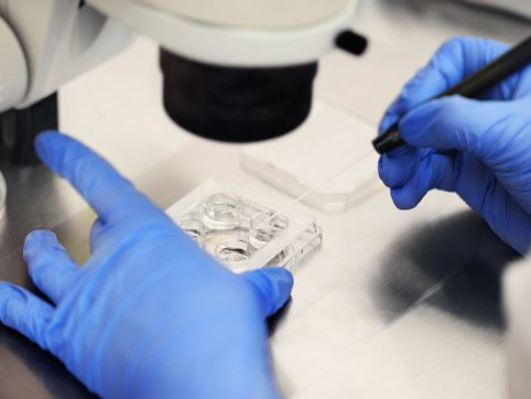 IVF kills more babies than Planned Parenthood