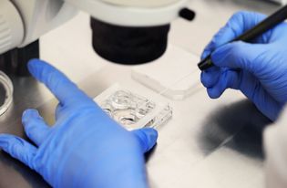 IVF kills more babies than Planned Parenthood
