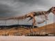 T. Rex fossil “Gus” fetches record-breaking price at auction
