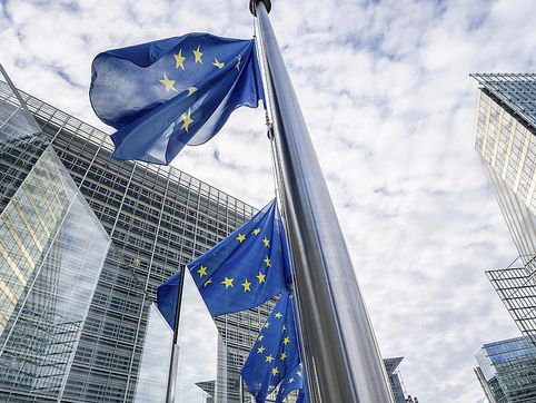 EU Parliament condemns forced marriage of Pakistani Christian