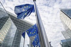 EU Parliament condemns forced marriage of Pakistani Christian