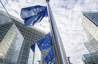 EU Parliament condemns forced marriage of Pakistani Christian