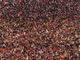 Millions of Spaniards celebrate 2026 FIFA World Cup victory