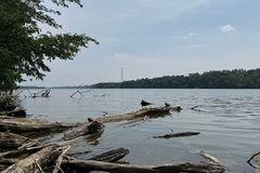 5 drown in Ohio swollen river after swimmer starts struggling