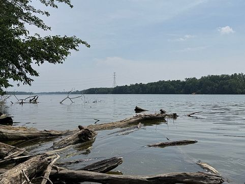 5 drown in Ohio swollen river after swimmer starts struggling