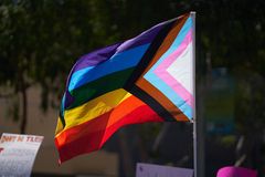 Texas school district posts, then deletes image showing top officials posing in front of progress pride flag
