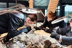 Volunteers help uncover massive prehistoric skeleton