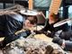 Volunteers help uncover massive prehistoric skeleton