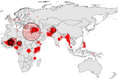 Global terrorist violence remains greatest in the Sahel, report says