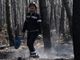 European wildfires rage on; Some French evacuee allowed home