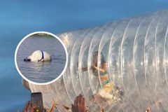 Katy Perry Got Stuck Inside a Giant Plastic Bottle Because Fans Refused to Roll Her to the Stage - RELEVANT