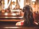 Pastor mourns 'precious' missionary after body discovered in suitcase in Greece