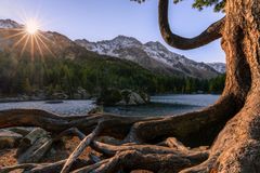 We must move beyond welfare for deeper roots and flourishing