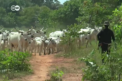 Three Christians killed in Plateau state, Nigeria