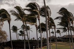 At least 1 dead as Tropical Storm Lala skirts Hawaii