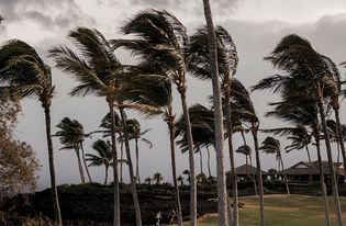 Hawaii faces new tropical storm, one week after Hurricane Lala
