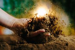 The wonder beneath our feet