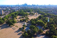Church of England urges prayers for those impacted by heatwaves, drought and wildfires