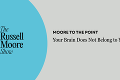 Your Brain Does Not Belong to You