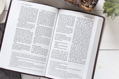 Bethel pausing sale of The Passion Translation amid backlash