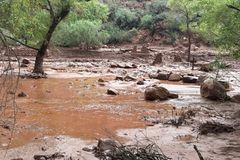 Grand Canyon flash floods: 1 dead, at least 15 missing, officials say