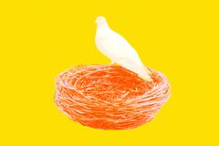Emptying the Nest in Hope, not Fear