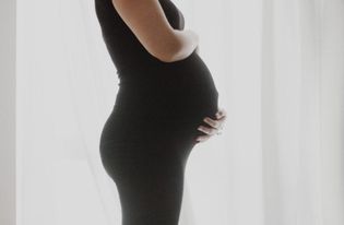 Surrogate mother who refused abortion makes emergency appeal to SCOTUS in custody dispute