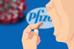 코로나 ‘먹는 치료제’ 65세이상→60세이상으로