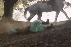 KBS ‘이방원’서 죽은 말… 20년전 낙마씬 오히려 안전