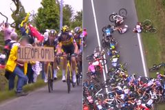 ‘팻말난입’에 우르르…민폐 관객, 징역형 피했다[영상]