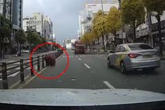 “중앙분리대서 기어나와”…할머니 아찔한 무단횡단 [영상]