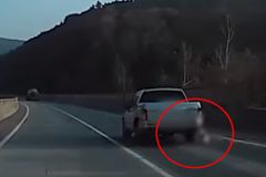 시속 100㎞ 차량에 매달린 개…견주 “내린지 몰랐다” [영상]