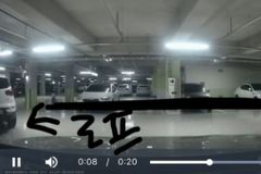 ‘쿵’ 들이받더니, 밧줄로 당기고 물파스 ‘쓱쓱’ [영상]