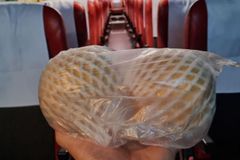 “기사님 덕에 집에 왔습니다” 승객이 건넨 ‘배 두개’ [아살세]