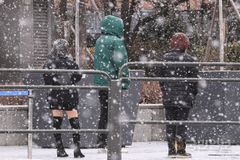 온종일 ‘눈 눈 눈’