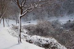 2천 년 전 동방박사처럼… 우리도 말씀이 가라는 곳만