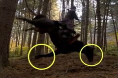 낙마씬 후 사망한 말…“퇴출 경주마 ‘까미’였다”