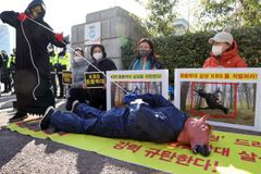 동물학대 논란 KBS ‘태종 이방원’…폐지 국민청원 6만명