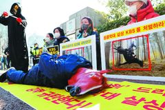 동물학대 논란에 고꾸라진 ‘태종 이방원’… 다음주까지 결방