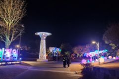 순천만국가정원서 열리는 별빛 산책 인기