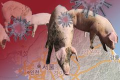 전남도, 양돈 농가 방역시설 최대 5000만원 지원