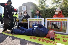 ‘태종 이방원’ 말 사고 재발 막는다…가이드라인 마련